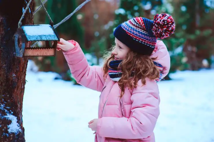 Las aves más adecuadas para los niños. Las aves más adecuadas para los niños