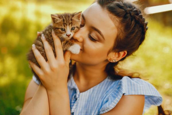 ¿Cuánto viven los gatos? - Esperanza de vida en gatos: fisiología y suerte