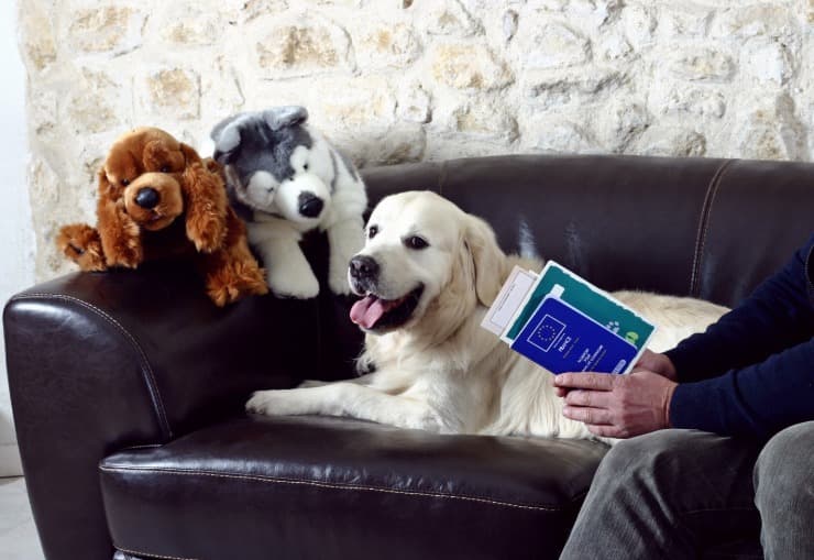 Documentos para perros