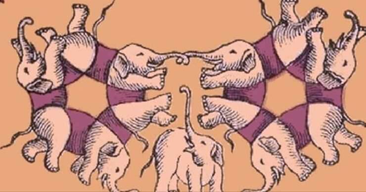 Ilusión óptica de elefantes, ¿cuántos puedes ver en la imagen?