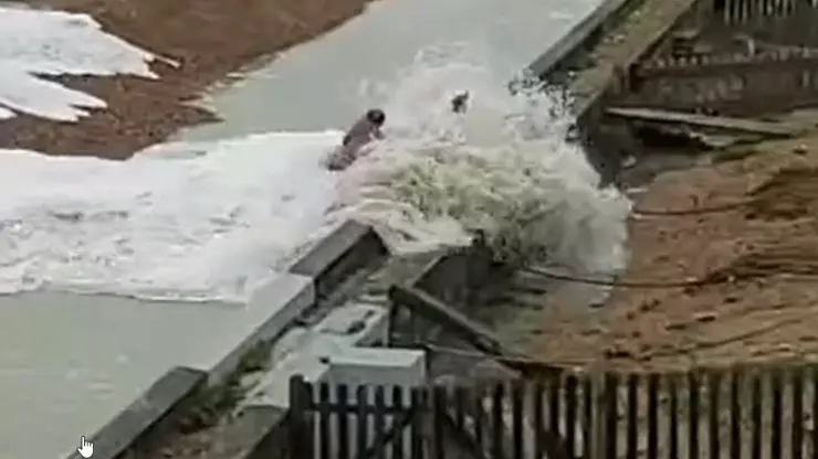 Video de mujer perro tormenta