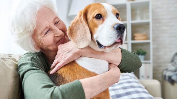 perros que ayudan a combatir la soledad