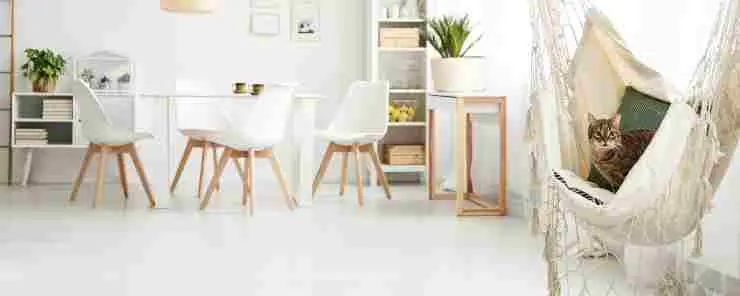 Hamaca de techo para gatos