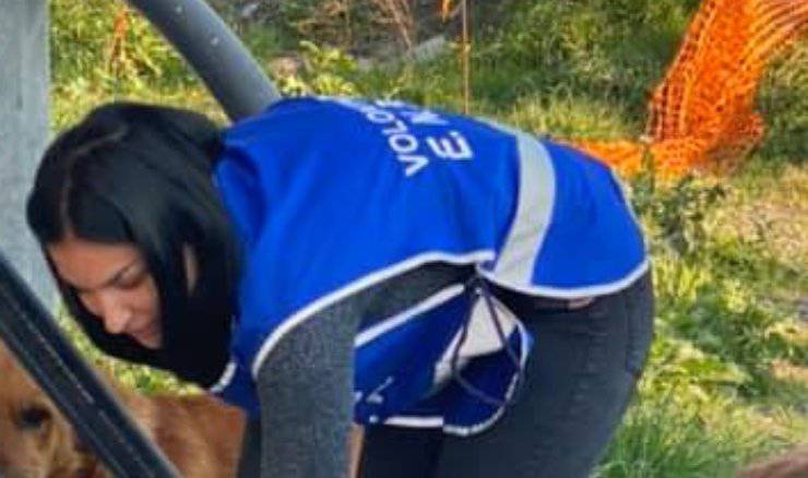 Perro Ptolomeo busca familia
