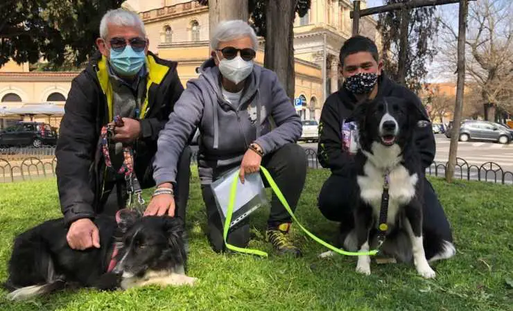 Perro Max encuentra familia