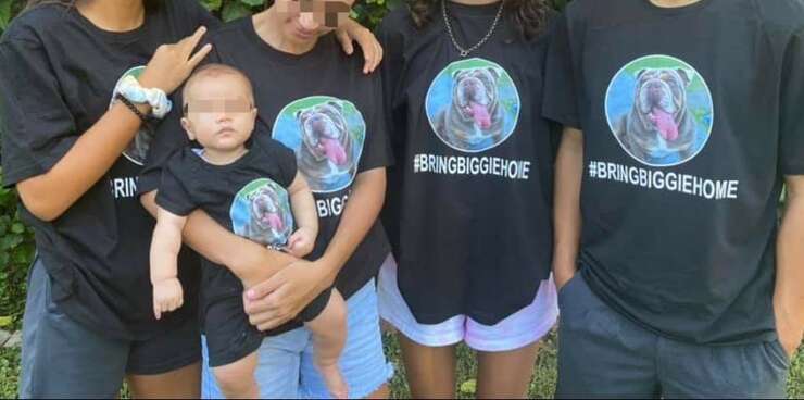 Campaña para encontrar a Biggie (Foto facebook)