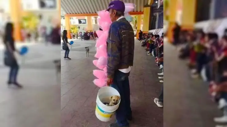 Senior vende cubo de bastón de caramelo