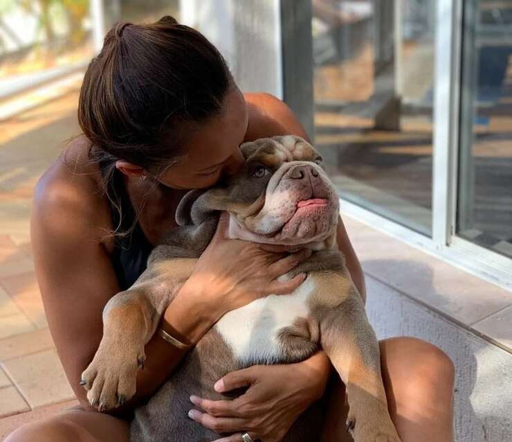 Biggie el perro secuestrado de su casa (Foto Facebook)