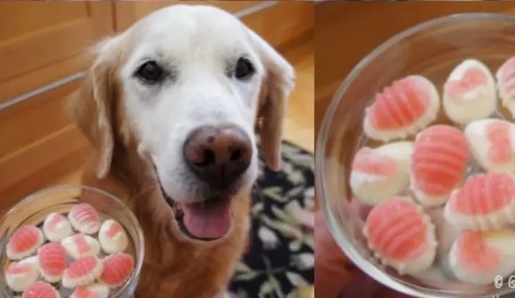 huevos de pascua congelados para fido