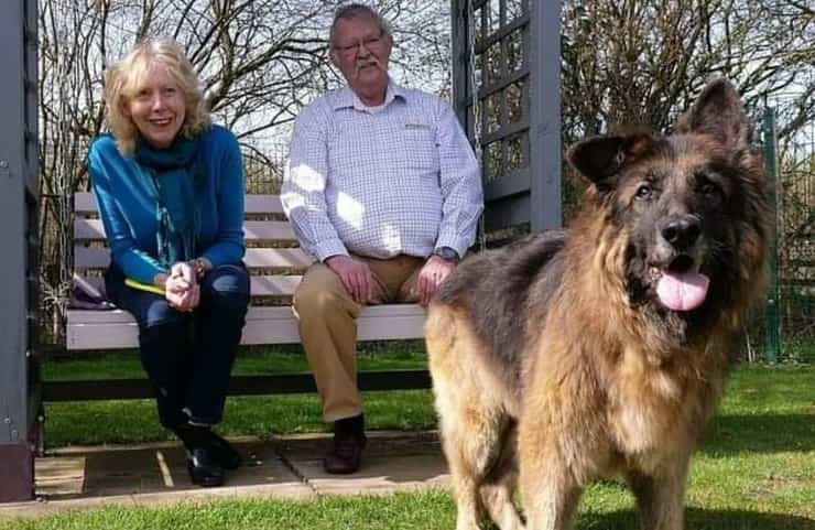 Los nuevos dueños de Bella, la perrita de 11 años a la que le ataron una piedra al cuello para ahogarla en el río Trent