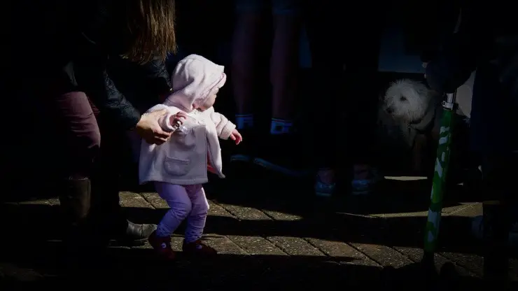 Miedo a los animales en los niños. Miedo a los animales en los niños.