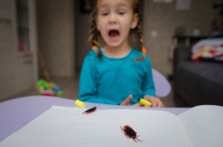 Miedo a los animales en los niños. Miedo a los animales en los niños.