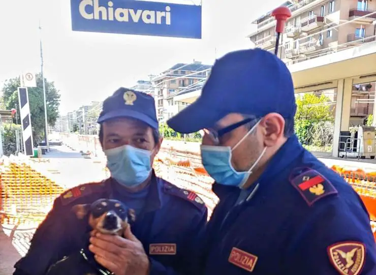 Perrito escapó de las vías del tren