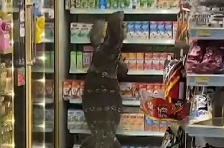 Video del supermercado Varano