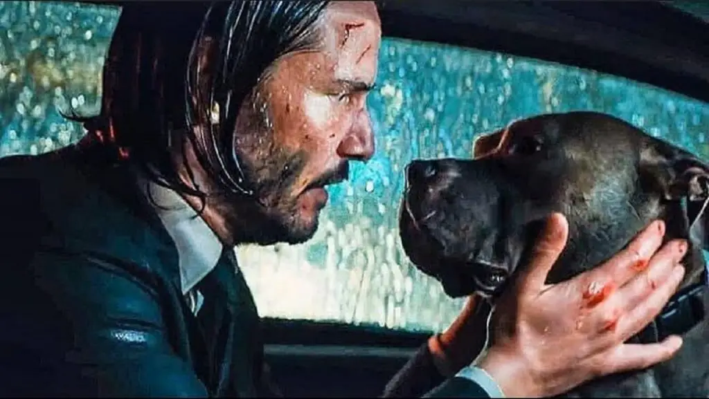 Perros John Wick nombres, razas, características