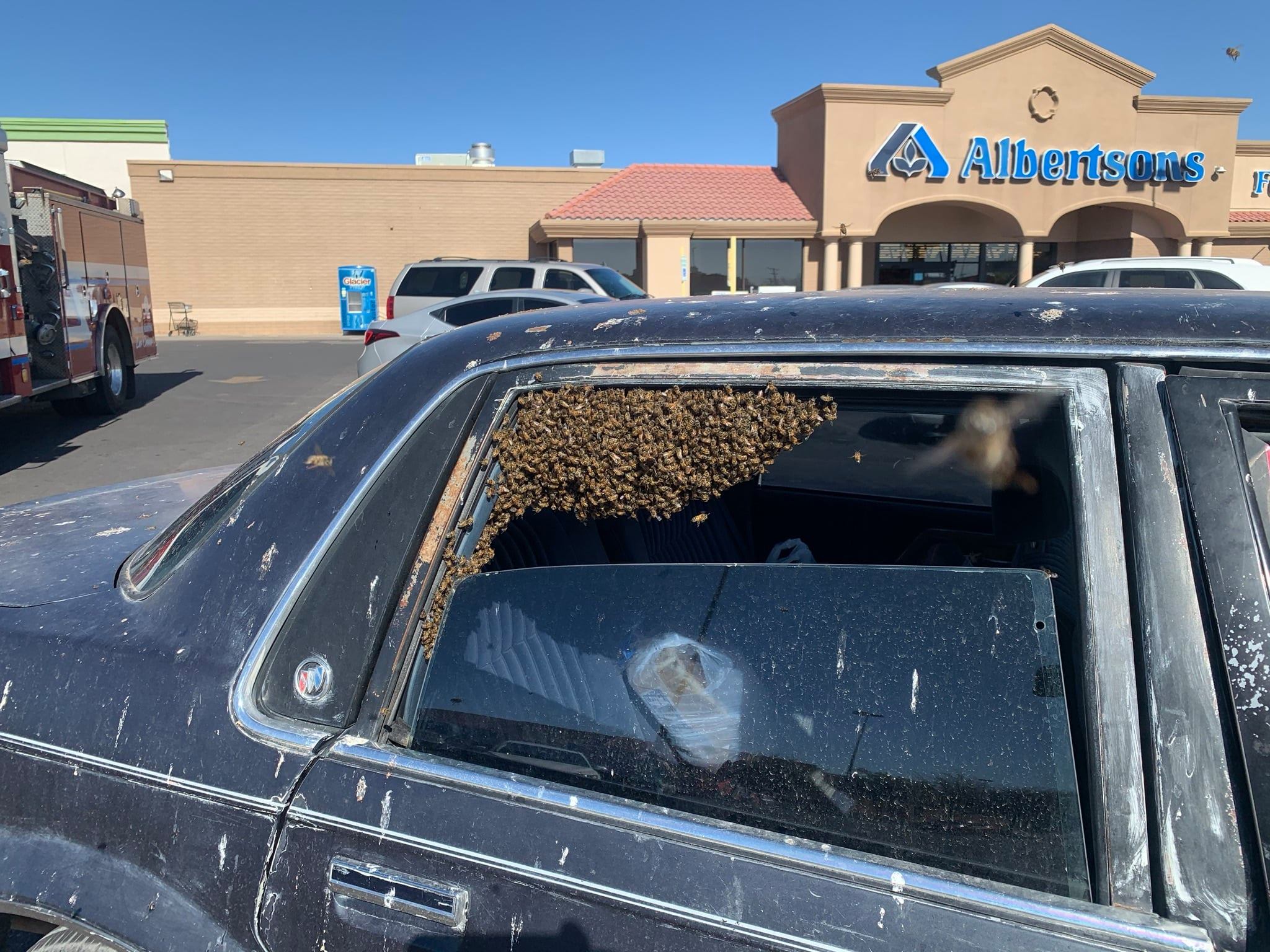 enjambre 15.000 abejas mecánicas
