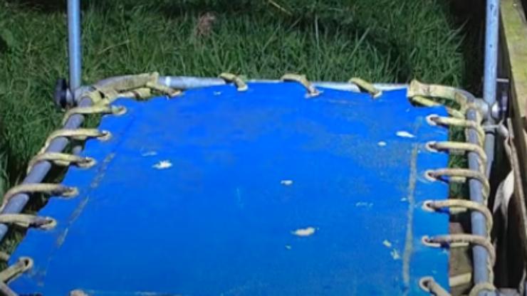 Trampolín (foto video)