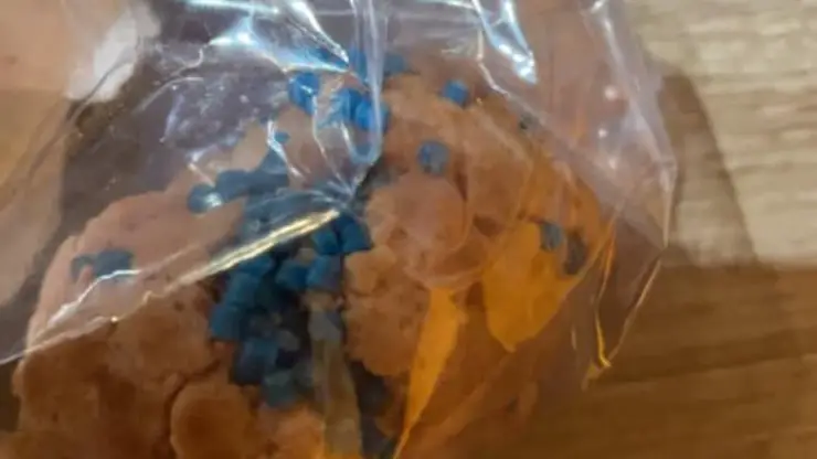 Tabletas De Bocconi Azul Envenenado Perros Gossolengo