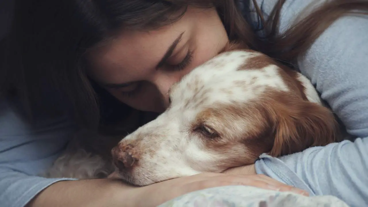 Daño moral por muerte del animal de compañía