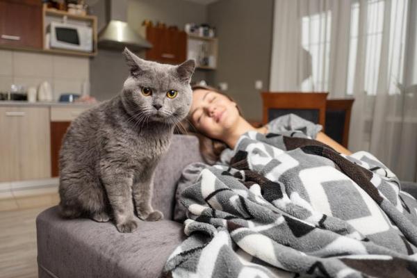 El gato muerde cuando duermo: causas y que hacer