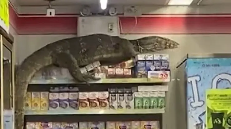 Video del supermercado Varano