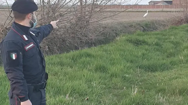 Carabinieri Heron Man