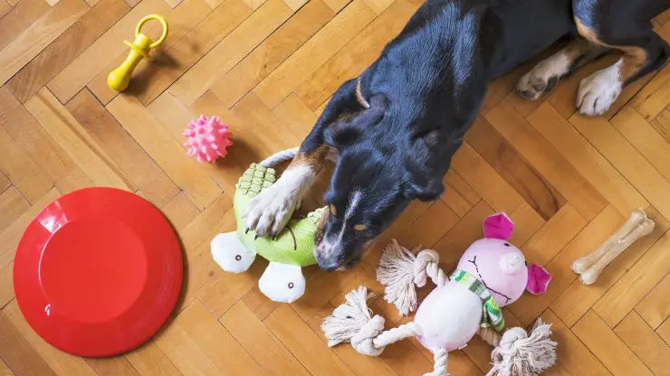 Kong para perros Kong para perros