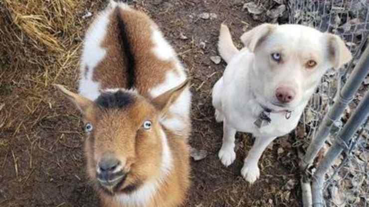 Una gran amistad (foto de Facebook)