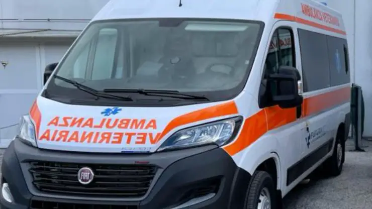 Ambulancia veterinaria Brescia