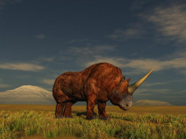 ¿Existen los unicornios? - El verdadero unicornio