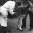 veterinarios de principios del siglo XX