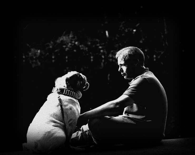 Empatía entre perro y dueño (Foto Pixabay)