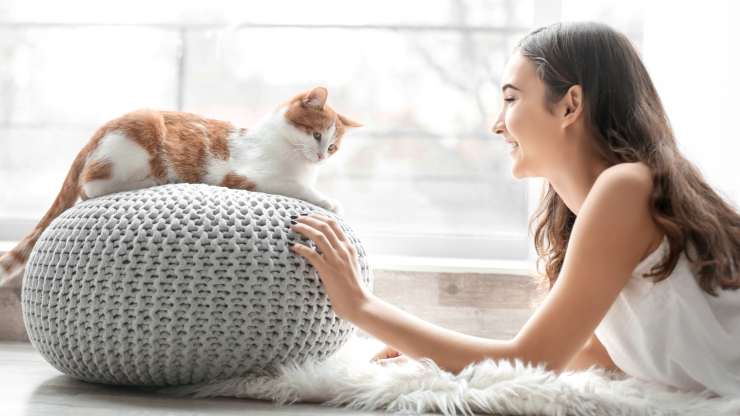 hablar telepáticamente con el gato