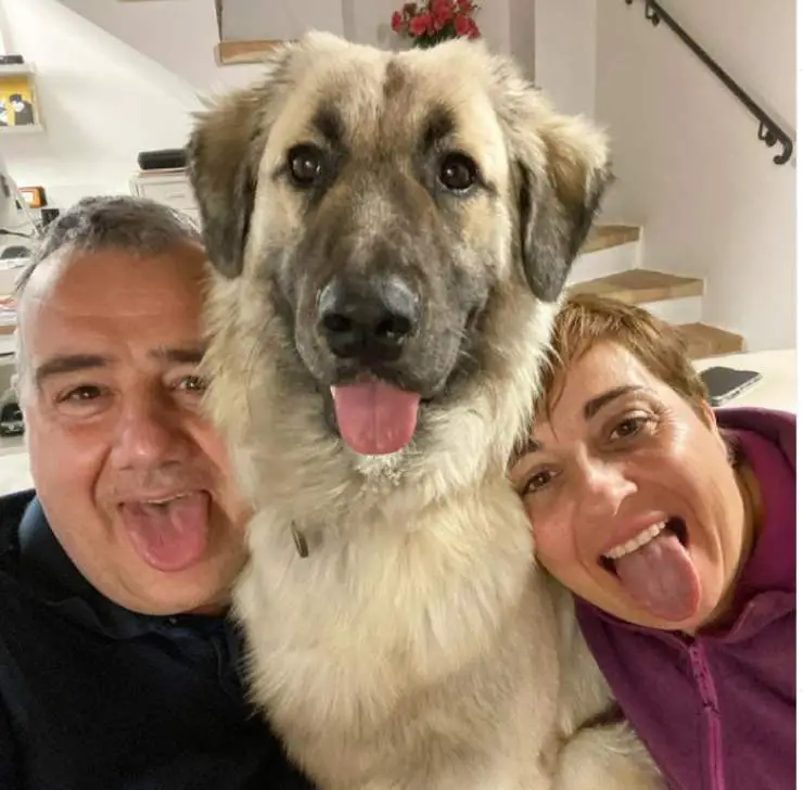 Benedetta Rossi, Marco y Cloud