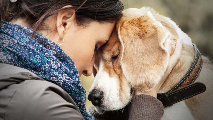 hablar telepáticamente con el perro