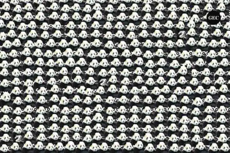 Encuentra los mapaches entre los pandas la prueba visual superdifícil
