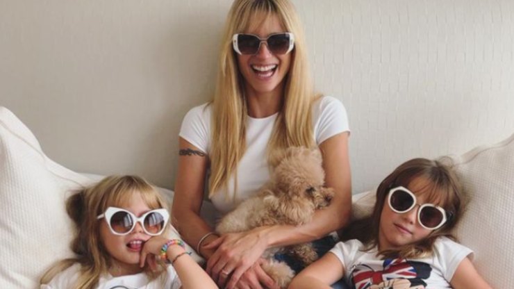 Perros de Michelle Hunziker