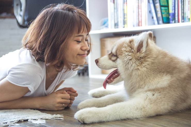 Oligoelementos para el perro Oligoelementos para el perro