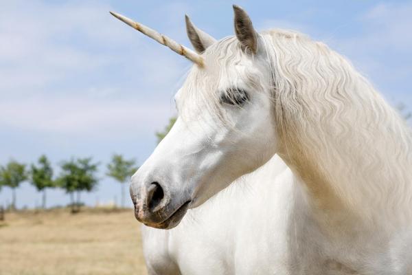 ¿Existen los unicornios?
