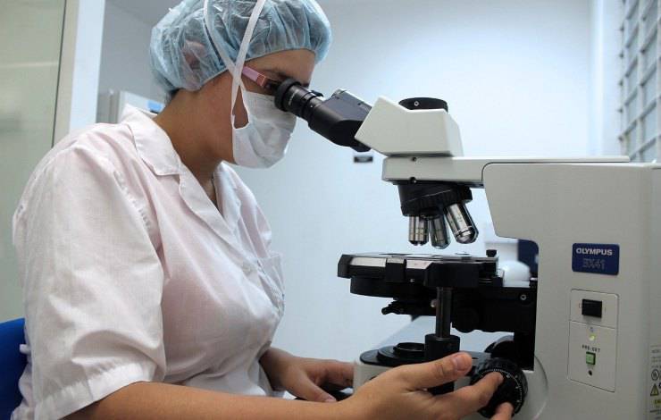 análisis veterinario
