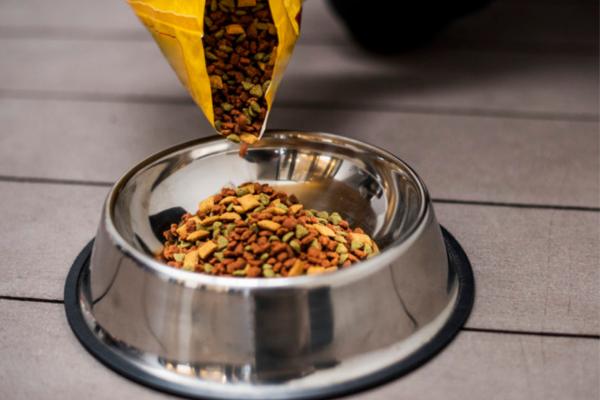 Alimentos proteicos para perros - Alimentos proteicos para perros