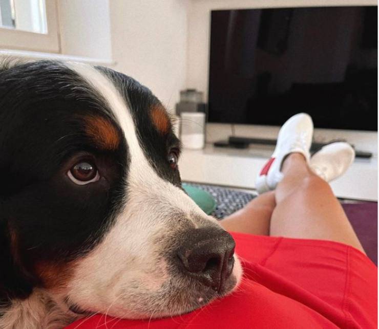 Paola Turani y sus perros