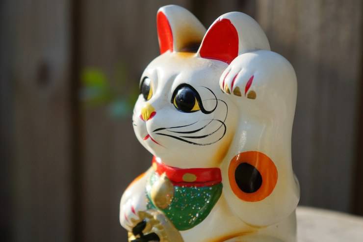 Nombres orientales para gatos Nombres japoneses para gatos