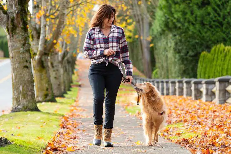 llevar al perro a pasear