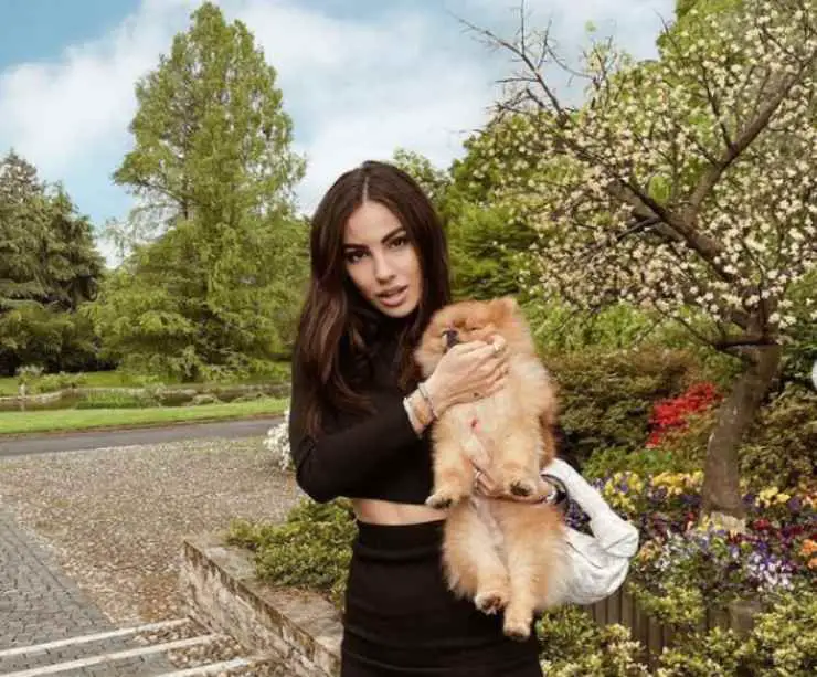 Tommy, el perro de Giulia De Lellis Giulia De Lellis y Tommy
