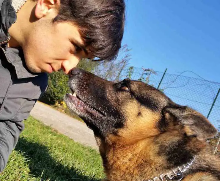 Dueños locos por sus perros