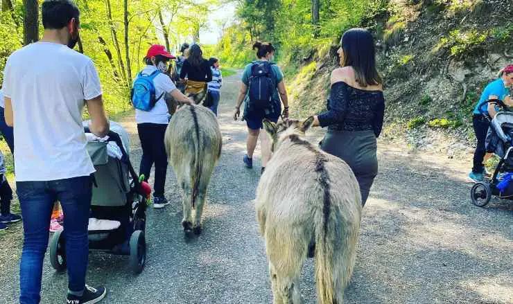 Proyecto Niños Cuatro Burros 