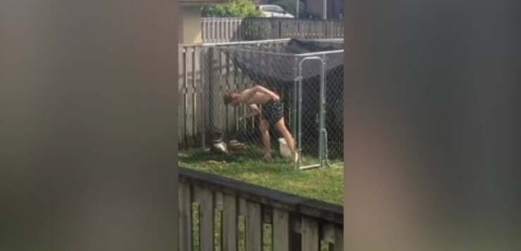 Hombre ataca a un perro por cavar un hoyo (Pantalla de video)