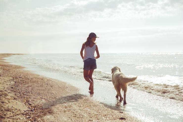 Perro corriendo en la playa