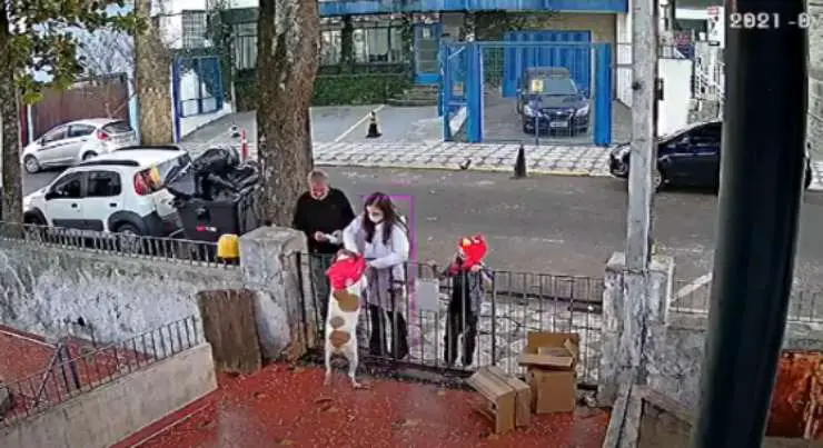 Perro con el abrigo nuevo (Foto video)